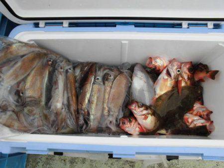 大進丸（新潟） 釣果