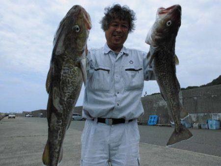 大進丸(新潟) 釣果