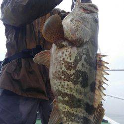 遊漁船 新鋭丸 釣果