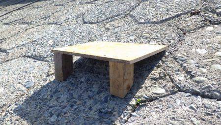 フィッシングレイクたかみや 釣果