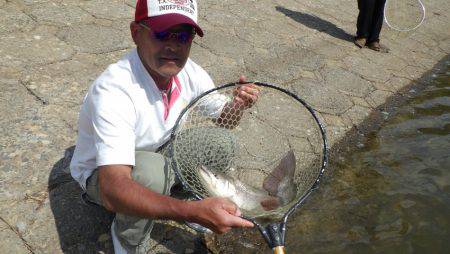 フィッシングレイクたかみや 釣果