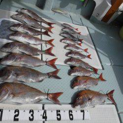 遊漁船 幸友丸 釣果