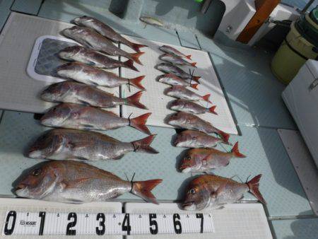 遊漁船 幸友丸 釣果