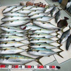 ふじしめ丸 釣果