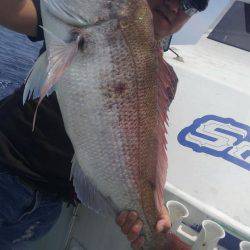 遊漁船 新鋭丸 釣果