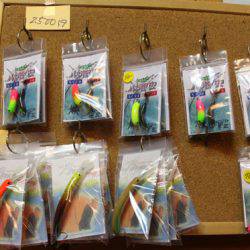 小菅トラウトガーデン 釣果