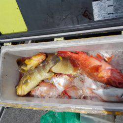 第二大福丸 釣果