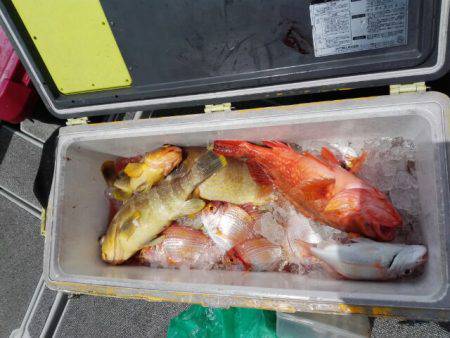 第二大福丸 釣果