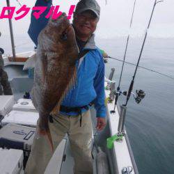 遊漁船 幸友丸 釣果