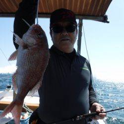 遊漁船 幸友丸 釣果