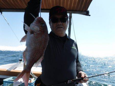 遊漁船 幸友丸 釣果