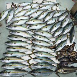 ふじしめ丸 釣果