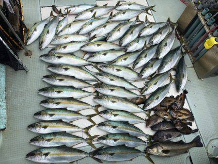 ふじしめ丸 釣果