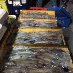 幸風（さちかぜ） 釣果