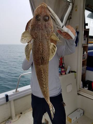 遊漁船　ニライカナイ 釣果