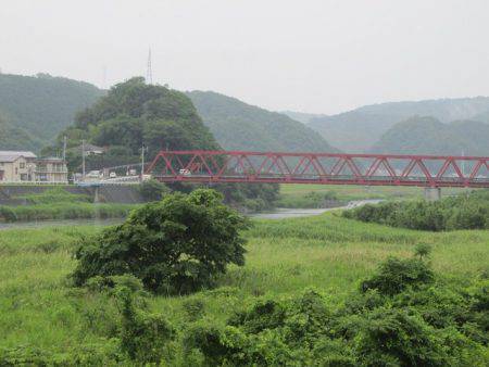 狩野川(狩野川漁業協同組合) 釣果