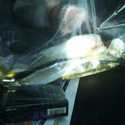 ミニツバスしか