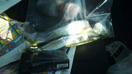 ミニツバスしか