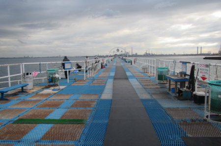 オリジナルメーカー海づり公園(市原市海づり施設) 釣果