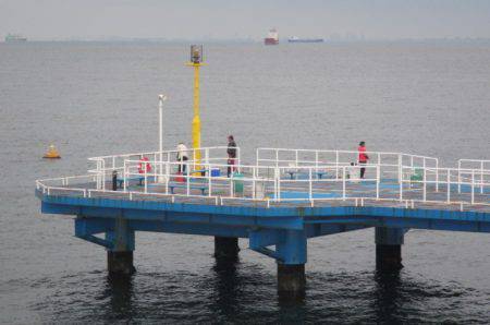 オリジナルメーカー海づり公園(市原市海づり施設) 釣果