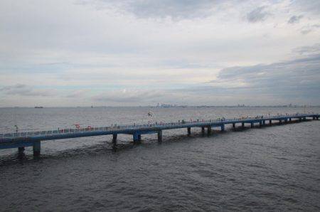 オリジナルメーカー海づり公園(市原市海づり施設) 釣果