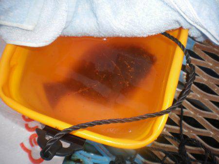 オリジナルメーカー海づり公園(市原市海づり施設) 釣果