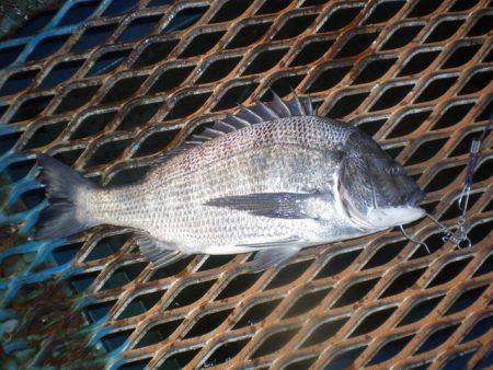 オリジナルメーカー海づり公園(市原市海づり…