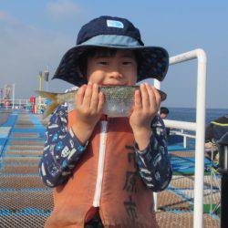 オリジナルメーカー海づり公園(市原市海づり施設) 釣果