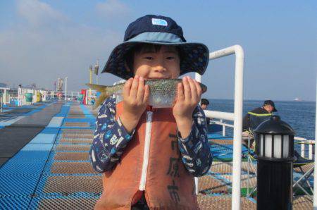 オリジナルメーカー海づり公園(市原市海づり施設) 釣果