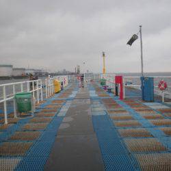 オリジナルメーカー海づり公園(市原市海づり施設) 釣果