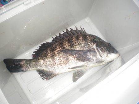 オリジナルメーカー海づり公園(市原市海づり…