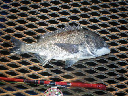 オリジナルメーカー海づり公園(市原市海づり…