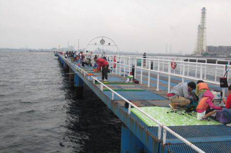 オリジナルメーカー海づり公園(市原市海づり施設) 釣果
