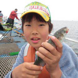 オリジナルメーカー海づり公園(市原市海づり施設) 釣果