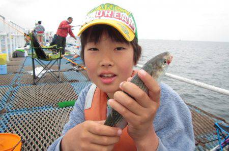 オリジナルメーカー海づり公園(市原市海づり施設) 釣果