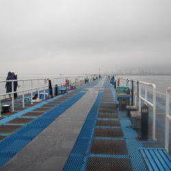 オリジナルメーカー海づり公園(市原市海づり施設) 釣果