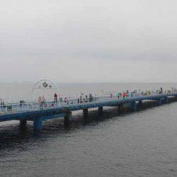 オリジナルメーカー海づり公園(市原市海づり施設) 釣果