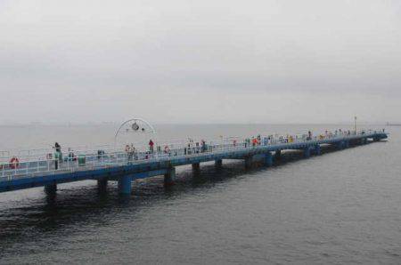 オリジナルメーカー海づり公園(市原市海づり施設) 釣果