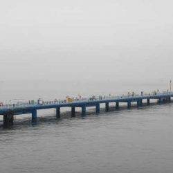 オリジナルメーカー海づり公園(市原市海づり施設) 釣果