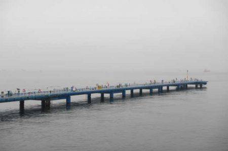 オリジナルメーカー海づり公園(市原市海づり施設) 釣果