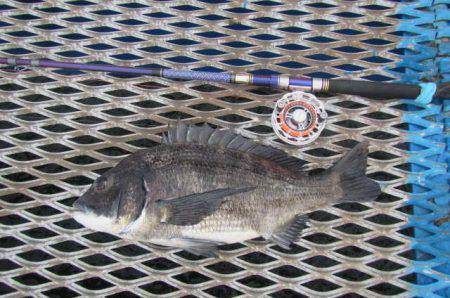 オリジナルメーカー海づり公園(市原市海づり…