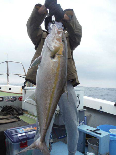 オーシャンパイオニア 釣果