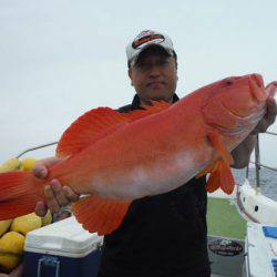 オーシャンパイオニア 釣果