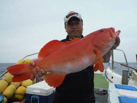 オーシャンパイオニア 釣果