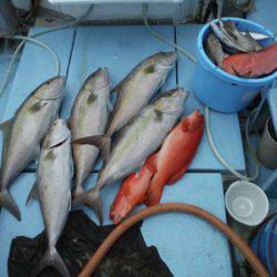 オーシャンパイオニア 釣果