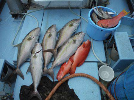 オーシャンパイオニア 釣果