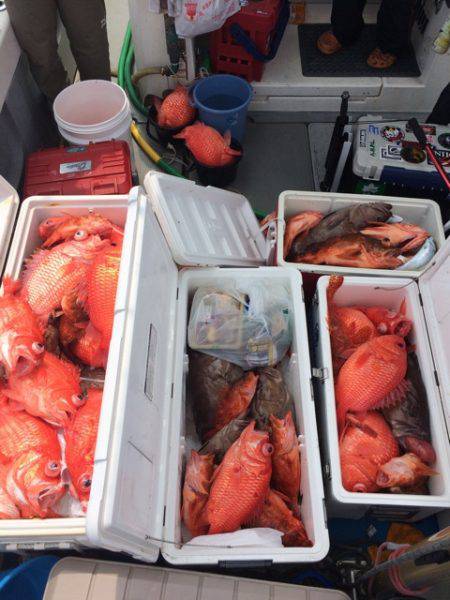 Blue.win 海人丸 釣果