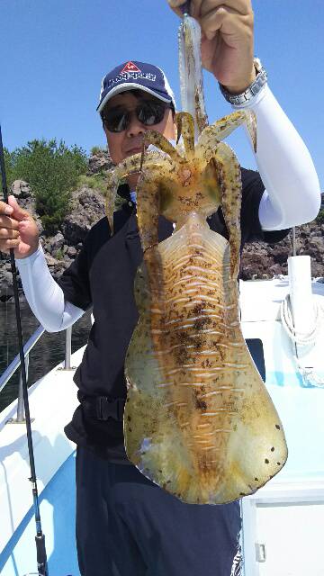 海晴丸 釣果