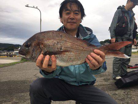 由良渡船 釣果