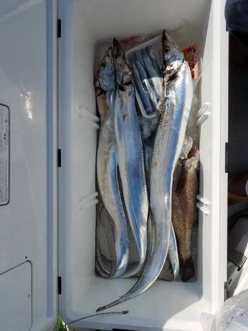 遊漁船 ニライカナイ 釣果